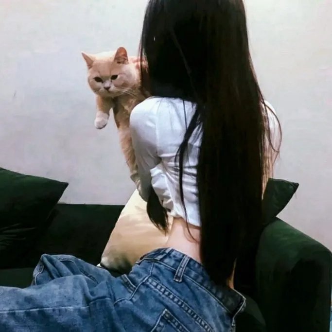 红玫瑰